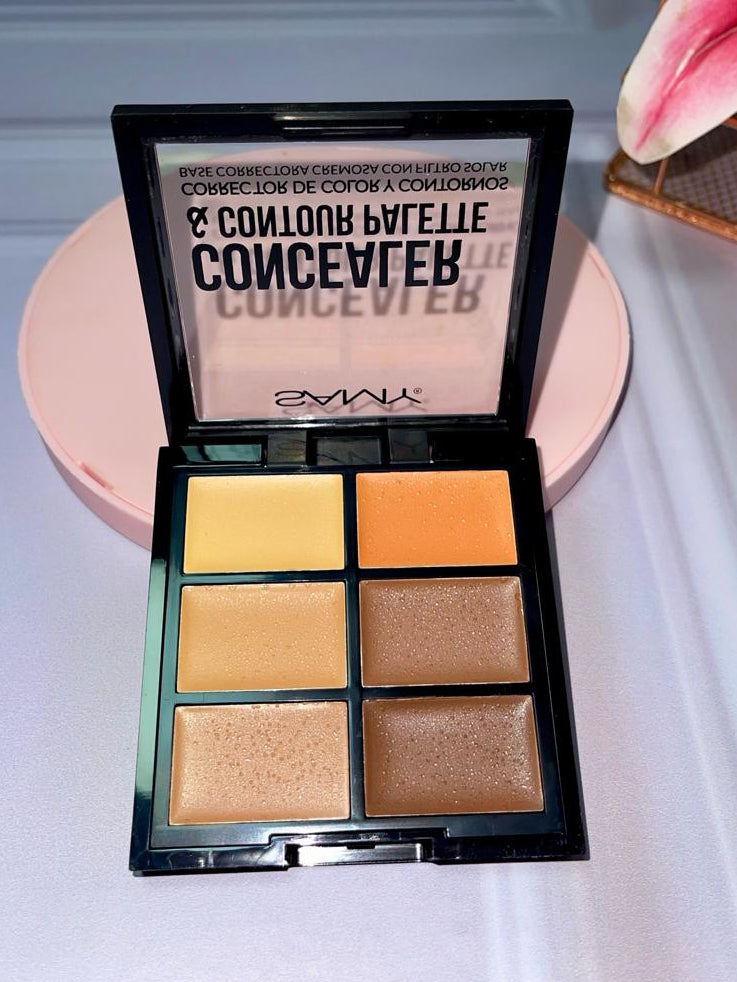 PALETA DE CORRECTORES SAMY