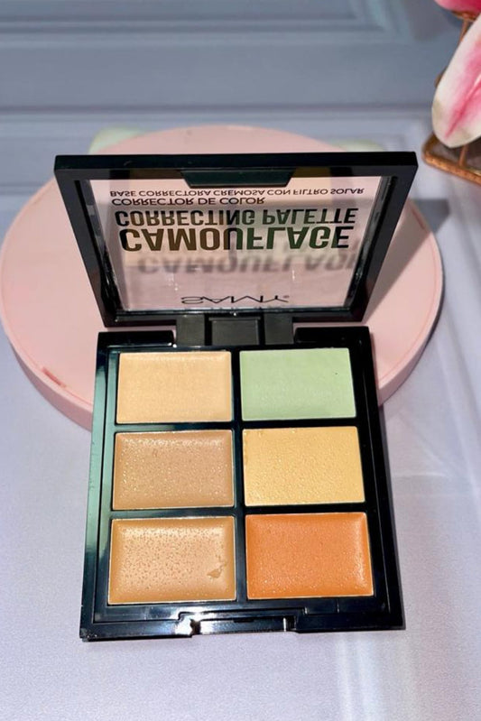 PALETA DE CORRECTORES SAMY